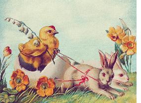 Eine narzisstische Femme fatale kann keine gesunde Community etablieren!