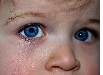 Der leidgeprüfte Schutzbefohlene resigniert im Bann deutscher Camgirls.