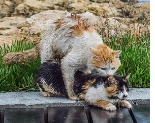 Ein deutsches Webcam-Paar in der CrazyTicket-Show.