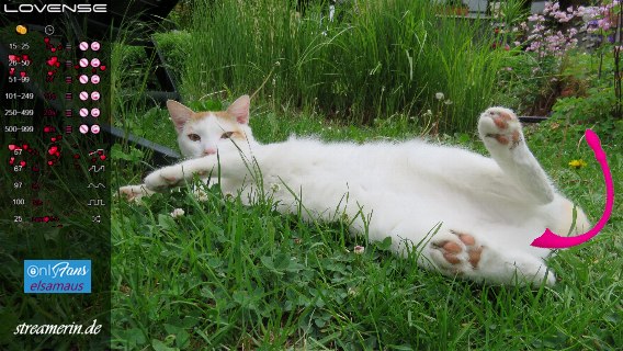 Streamerin Elsa ⚡ wirbt sachgerecht für ihre Dienstleistungen.