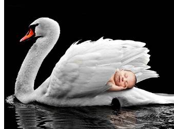 Erfahrene Camgirls verzaubern junge und infantile Männer.