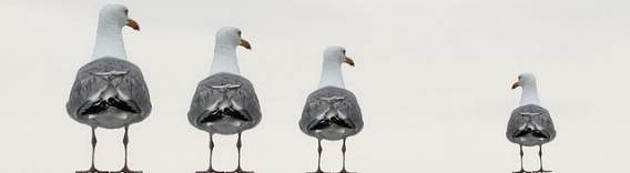 Das Camgirl als Unperson des öffentlichen Lebens.