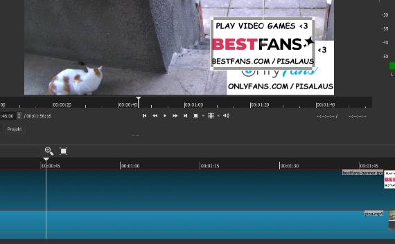 Die Shotcut Spur mit dem neuen Bild muss markiert sein.