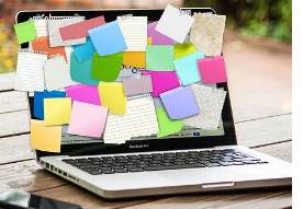 Mehrere Bildschirme für das Camgirl